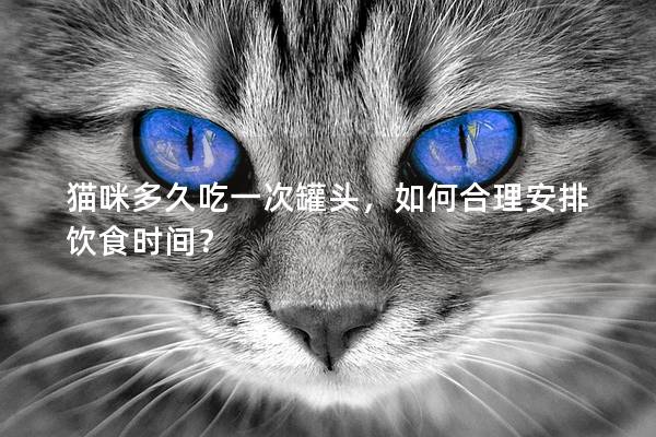 猫咪多久吃一次罐头，如何合理安排饮食时间？