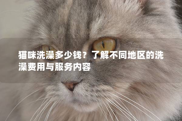 猫咪洗澡多少钱？了解不同地区的洗澡费用与服务内容