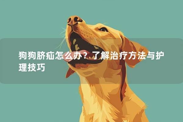 狗狗脐疝怎么办？了解治疗方法与护理技巧