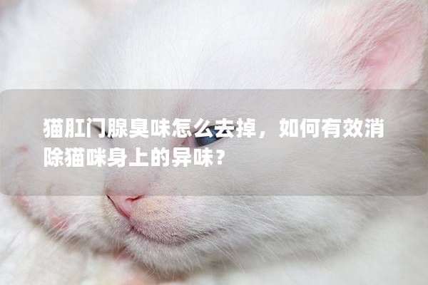 猫肛门腺臭味怎么去掉，如何有效消除猫咪身上的异味？