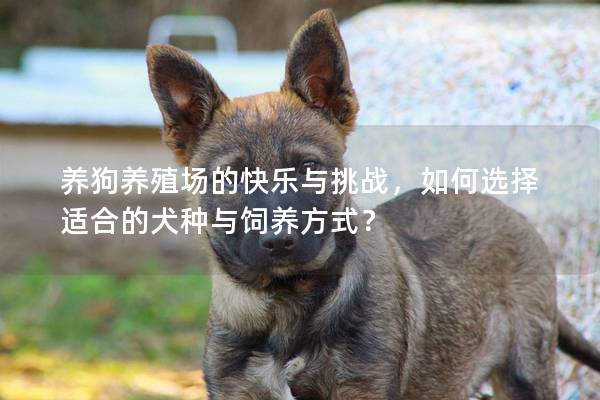 养狗养殖场的快乐与挑战，如何选择适合的犬种与饲养方式？