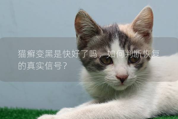 猫癣变黑是快好了吗，如何判断恢复的真实信号？