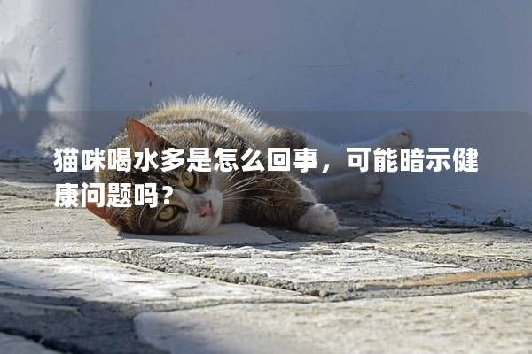 猫咪喝水多是怎么回事，可能暗示健康问题吗？