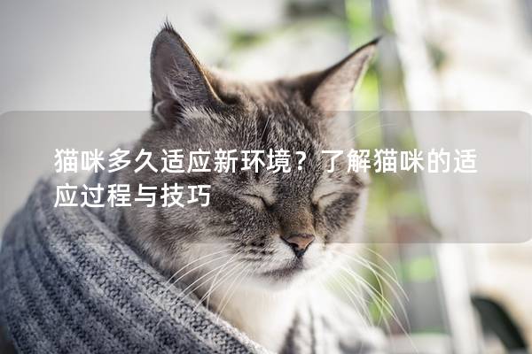 猫咪多久适应新环境？了解猫咪的适应过程与技巧