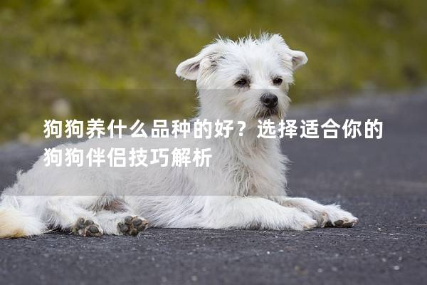 狗狗养什么品种的好？选择适合你的狗狗伴侣技巧解析