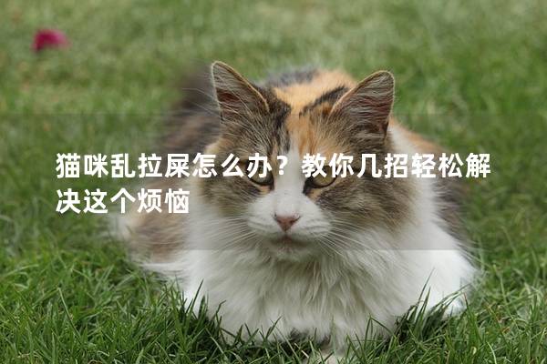 猫咪乱拉屎怎么办？教你几招轻松解决这个烦恼