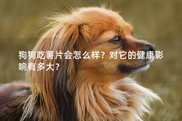 狗狗吃薯片会怎么样？对它的健康影响有多大？