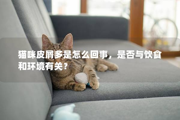 猫咪皮屑多是怎么回事，是否与饮食和环境有关？