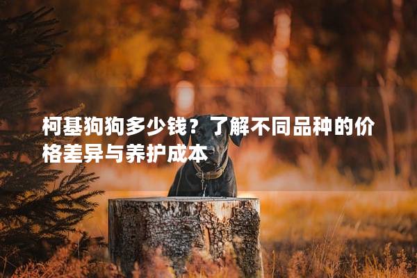 柯基狗狗多少钱？了解不同品种的价格差异与养护成本