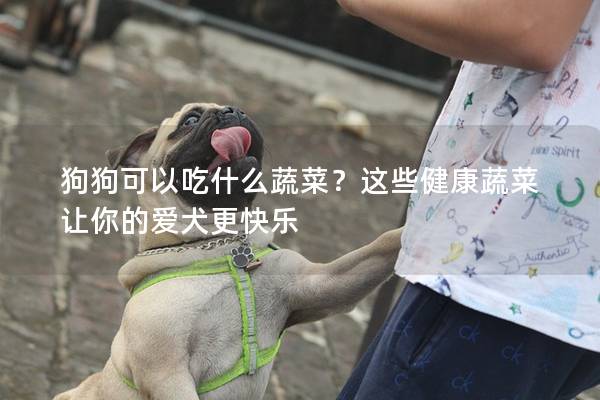 狗狗可以吃什么蔬菜？这些健康蔬菜让你的爱犬更快乐