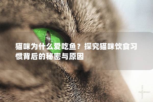 猫咪为什么爱吃鱼？探究猫咪饮食习惯背后的秘密与原因