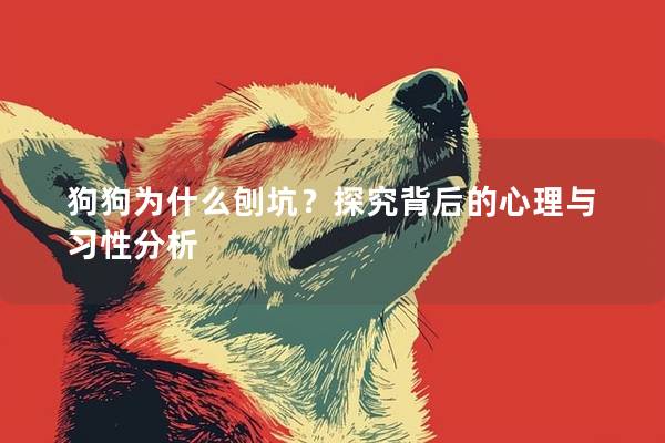 狗狗为什么刨坑？探究背后的心理与习性分析