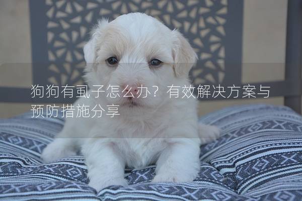 狗狗有虱子怎么办？有效解决方案与预防措施分享