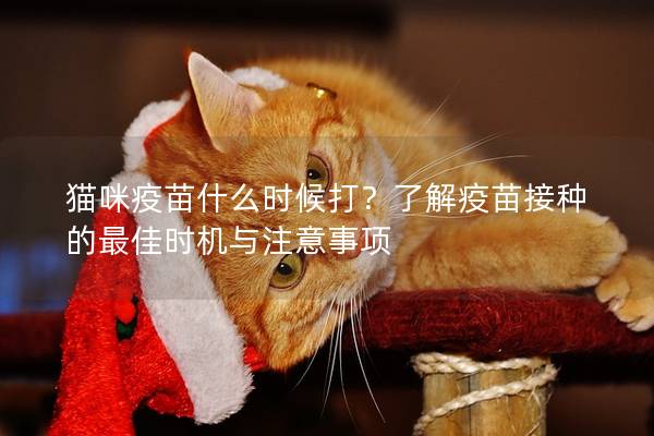 猫咪疫苗什么时候打？了解疫苗接种的最佳时机与注意事项