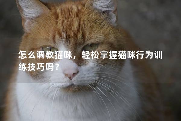 怎么调教猫咪，轻松掌握猫咪行为训练技巧吗？