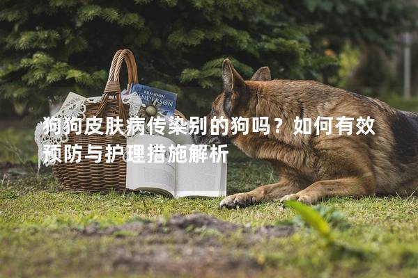 狗狗皮肤病传染别的狗吗？如何有效预防与护理措施解析