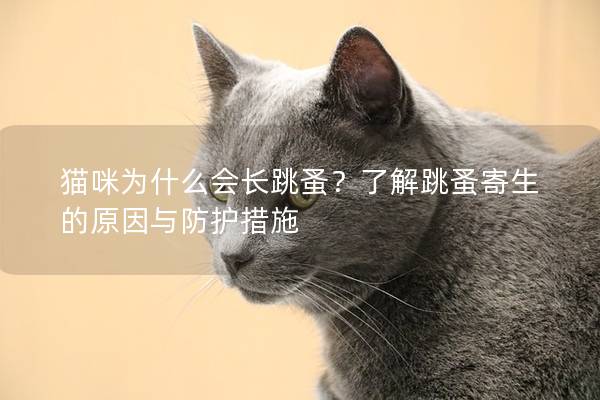 猫咪为什么会长跳蚤？了解跳蚤寄生的原因与防护措施