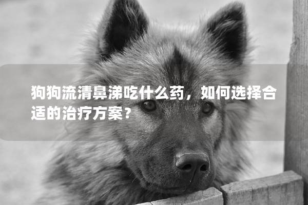 狗狗流清鼻涕吃什么药，如何选择合适的治疗方案？