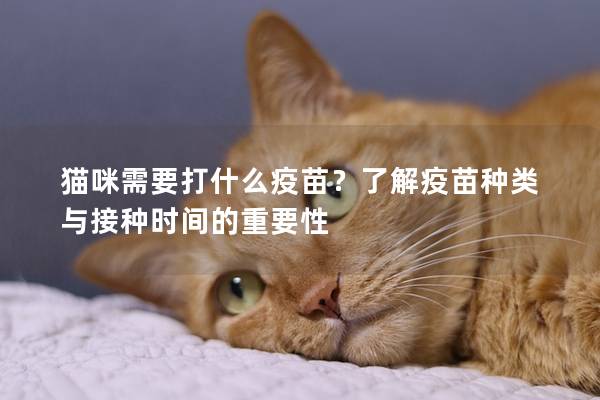 猫咪需要打什么疫苗？了解疫苗种类与接种时间的重要性