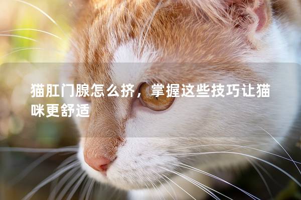 猫肛门腺怎么挤，掌握这些技巧让猫咪更舒适