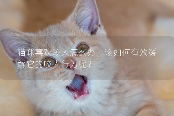 猫咪喜欢咬人怎么办，该如何有效缓解它的咬人行为呢？