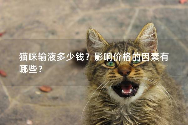 猫咪输液多少钱？影响价格的因素有哪些？