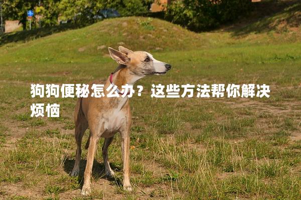 狗狗便秘怎么办？这些方法帮你解决烦恼