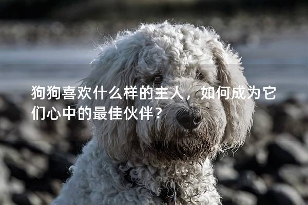 狗狗喜欢什么样的主人，如何成为它们心中的最佳伙伴？