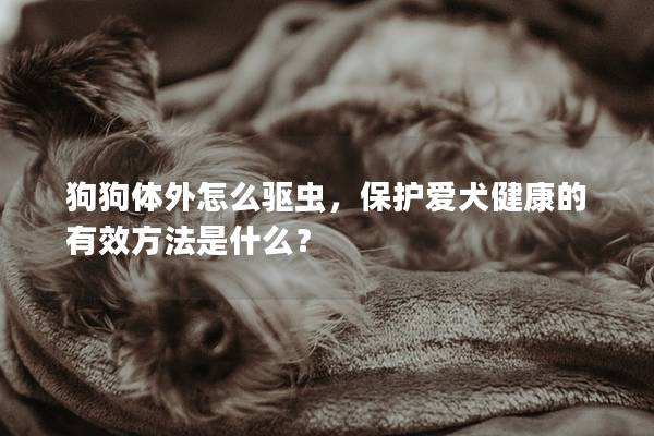 狗狗体外怎么驱虫，保护爱犬健康的有效方法是什么？