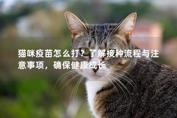 猫咪疫苗怎么打？了解接种流程与注意事项，确保健康成长