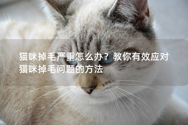 猫咪掉毛严重怎么办？教你有效应对猫咪掉毛问题的方法