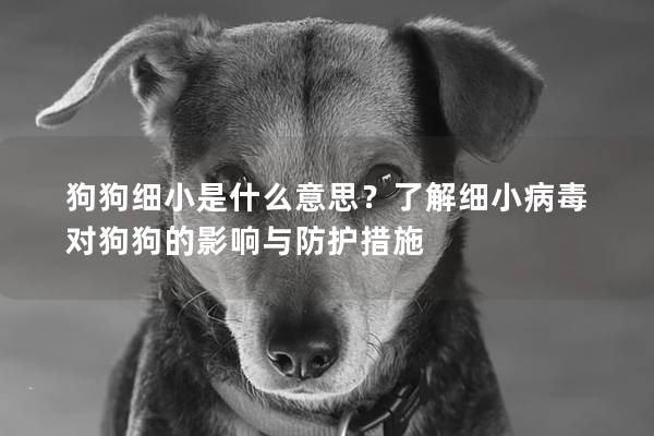 狗狗细小是什么意思？了解细小病毒对狗狗的影响与防护措施