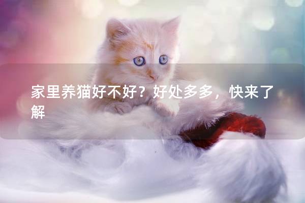 家里养猫好不好？好处多多，快来了解