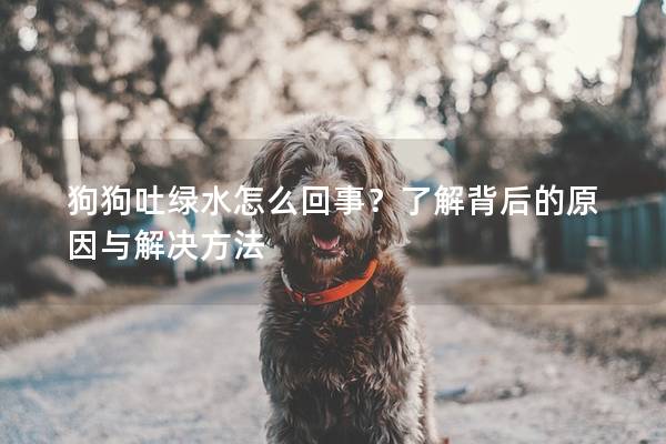 狗狗吐绿水怎么回事?了解背后的原因与解决方法