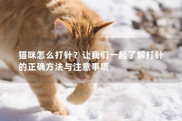 猫咪怎么打针？让我们一起了解打针的正确方法与注意事项