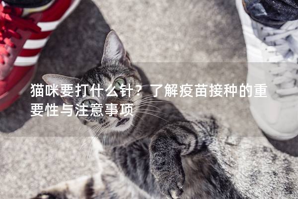 猫咪要打什么针?了解疫苗接种的重要性与注意事项