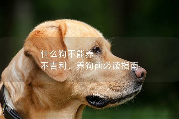 什么狗不能养 不吉利，养狗前必读指南