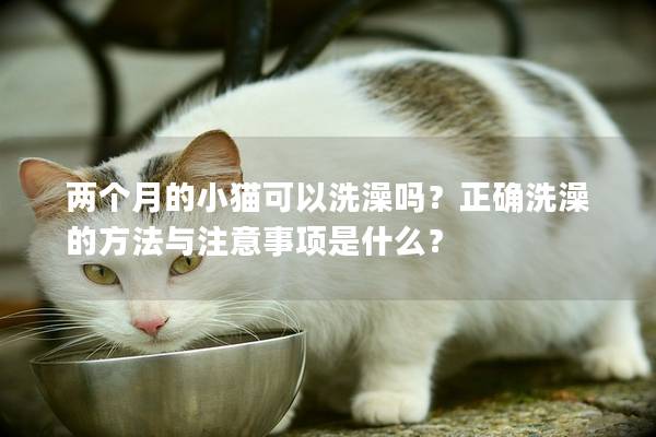 两个月的小猫可以洗澡吗？正确洗澡的方法与注意事项是什么？