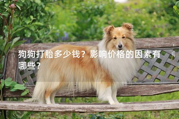 狗狗打胎多少钱？影响价格的因素有哪些？