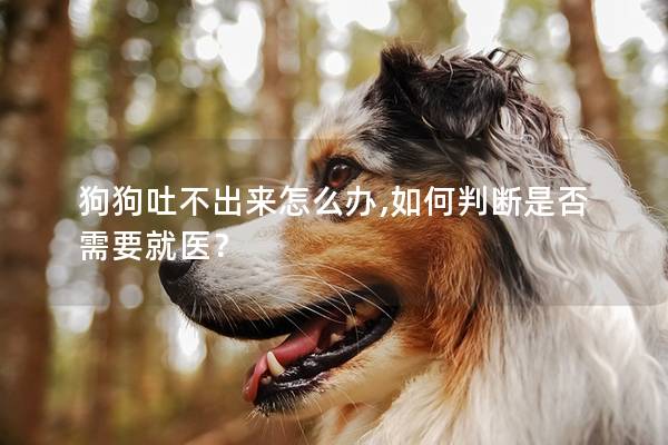 狗狗吐不出来怎么办,如何判断是否需要就医？