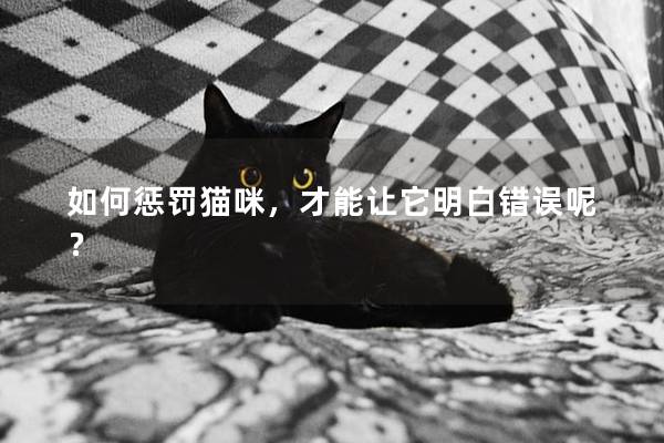 如何惩罚猫咪，才能让它明白错误呢？