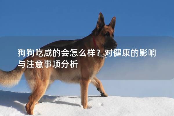 狗狗吃咸的会怎么样？对健康的影响与注意事项分析