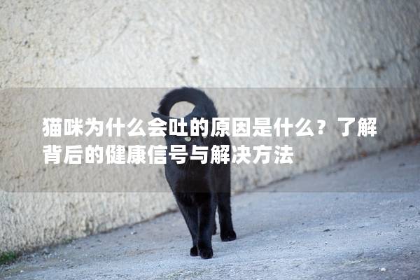 猫咪为什么会吐的原因是什么？了解背后的健康信号与解决方法