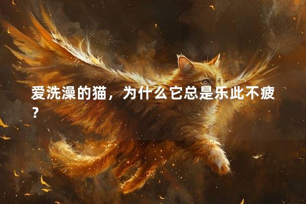 爱洗澡的猫，为什么它总是乐此不疲？