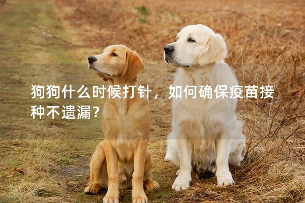 狗狗什么时候打针，如何确保疫苗接种不遗漏？