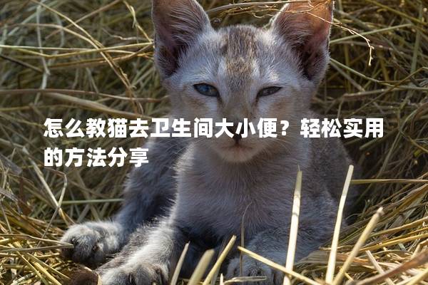 怎么教猫去卫生间大小便？轻松实用的方法分享