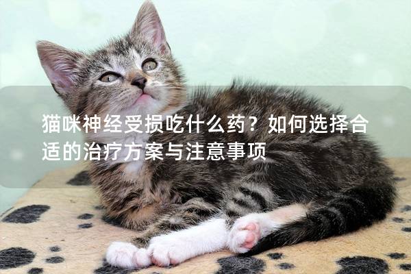 猫咪神经受损吃什么药？如何选择合适的治疗方案与注意事项