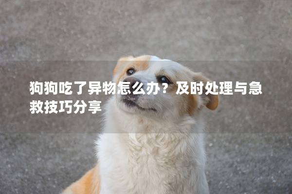 狗狗吃了异物怎么办？及时处理与急救技巧分享