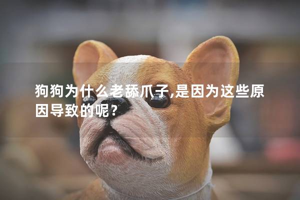 狗狗为什么老舔爪子,是因为这些原因导致的呢？