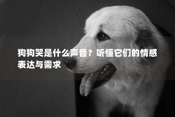 狗狗哭是什么声音？听懂它们的情感表达与需求